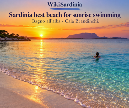 Sardinia Best Beach for Sunrise Swimming: Cala Brandinchi at Dawn