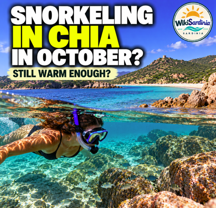 Snorkeling in Chia in October: Is the Sea Still Clear and Warm Enough?