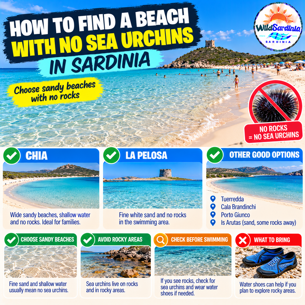 How to Find a Sardinian Beach with Fewer Sea Urchins