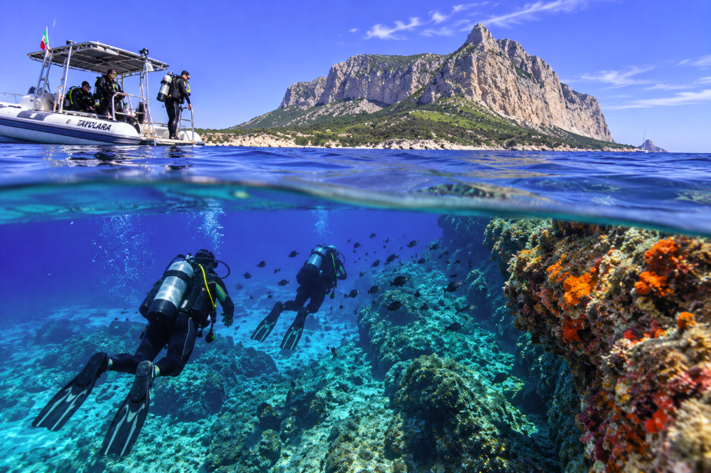 Diving Tavolara: Why Northeast Sardinia Is a Top Scuba Destination